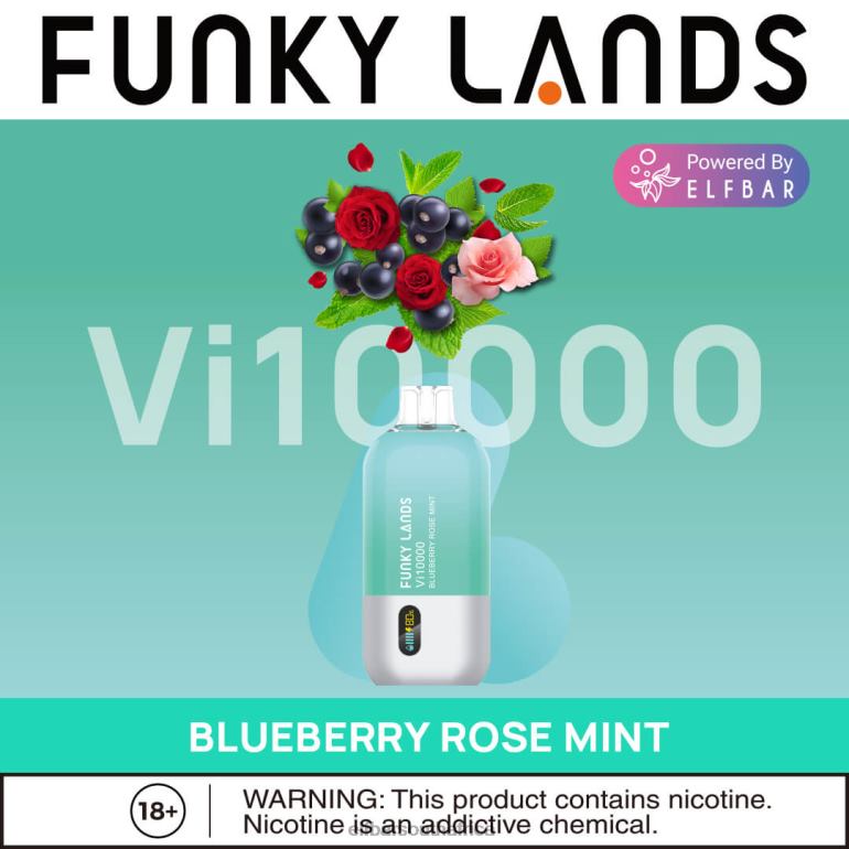 B8D2Z163 ELFBAR Funky Lands Disposable Vape Vi10000 Puffs Blueberry Rose Mint