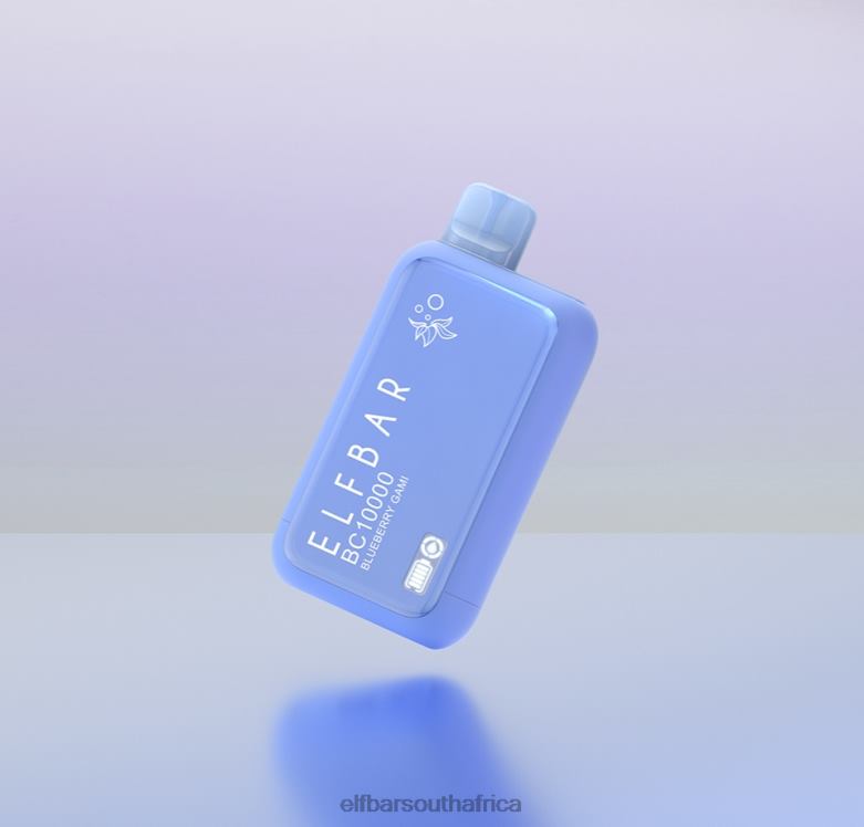 Blueberry Gami
