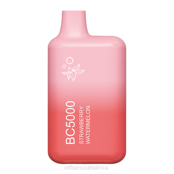 66HJ13 ELFBAR Strawberry Watermelon BC5000 Consumer - Single