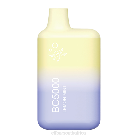 66HJ34 ELFBAR Lemon Mint BC5000 Consumer - Single